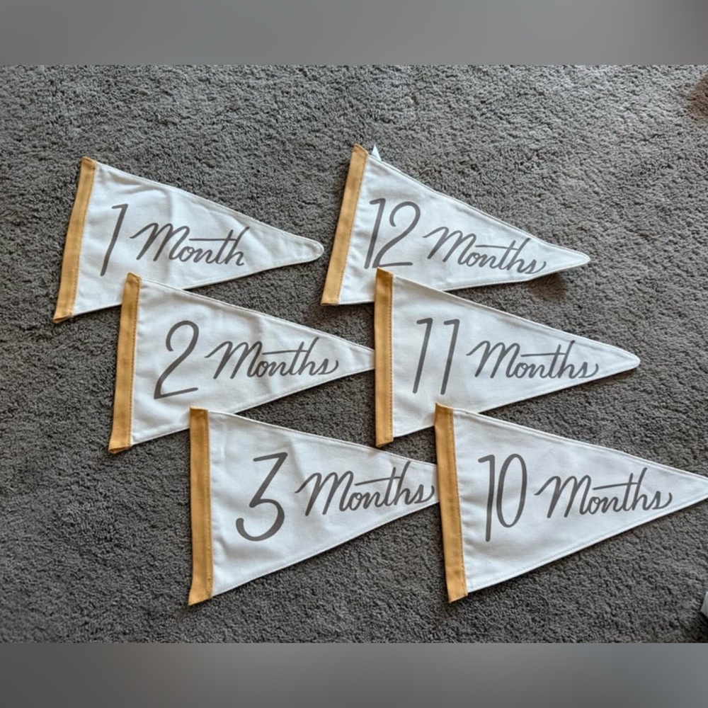 Hearth and Hand Monthly Milestone Flags - White and Gold